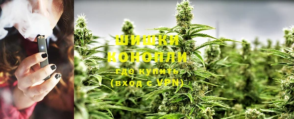 шишки Липки