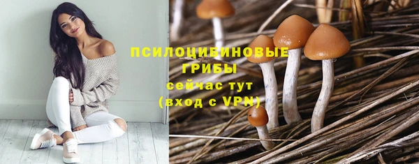 Альфа ПВП Лихославль