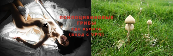 прущие грибы Майский